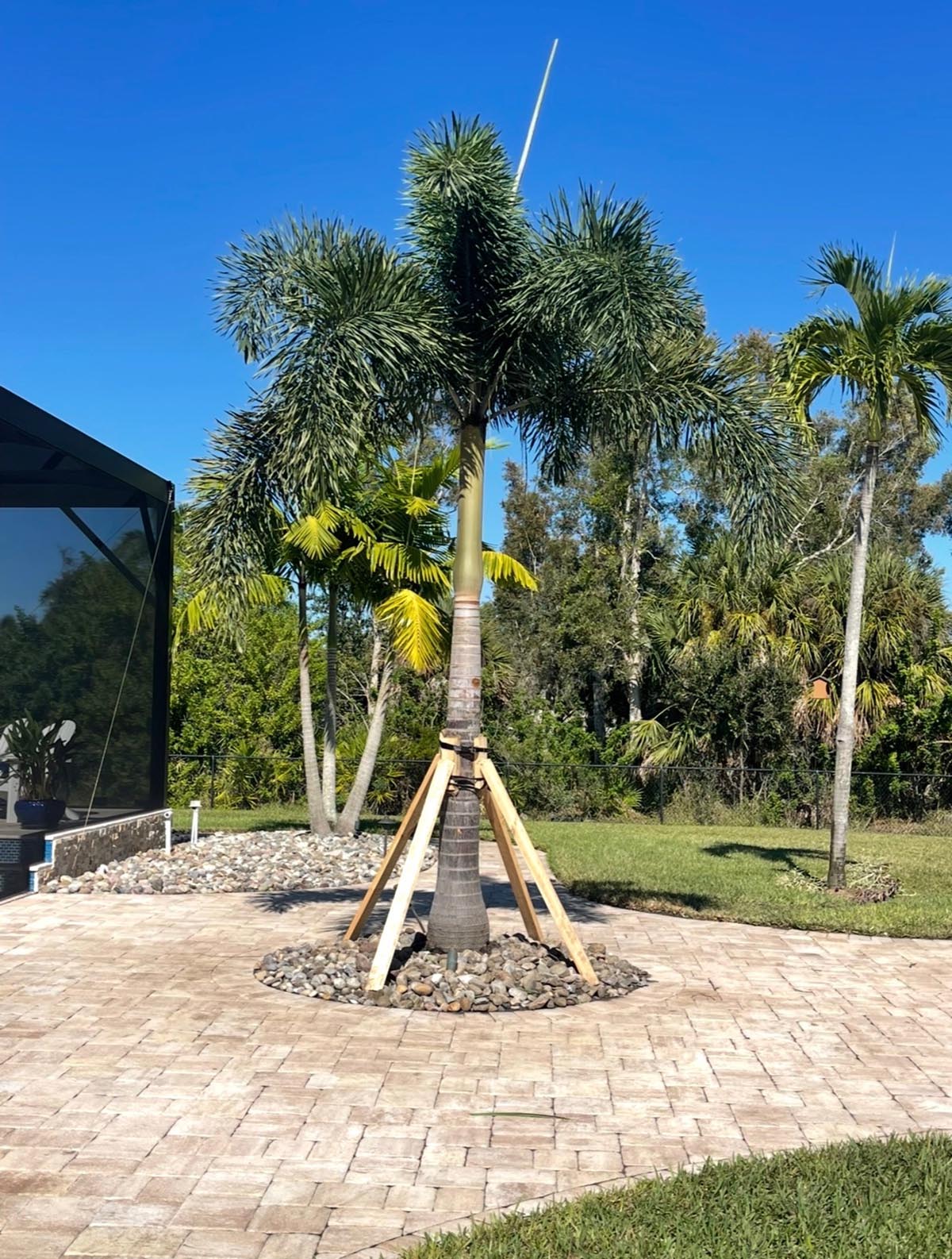 Tree Service Lawncare Property Maintenance Port Charlotte Punta Gorda FL Tree Service Lawncare Property Maintenance Port Charlotte Punta Gorda FL