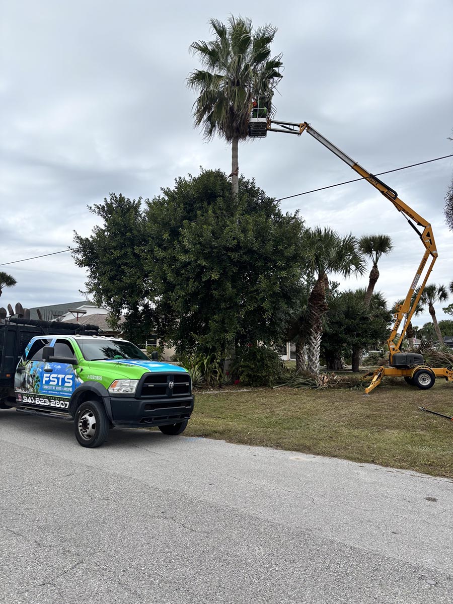 Tree Service Lawncare Property Maintenance Port Charlotte Punta Gorda FL Tree Service Lawncare Property Maintenance Port Charlotte Punta Gorda FL